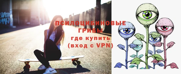 эйфоретик Дмитриев